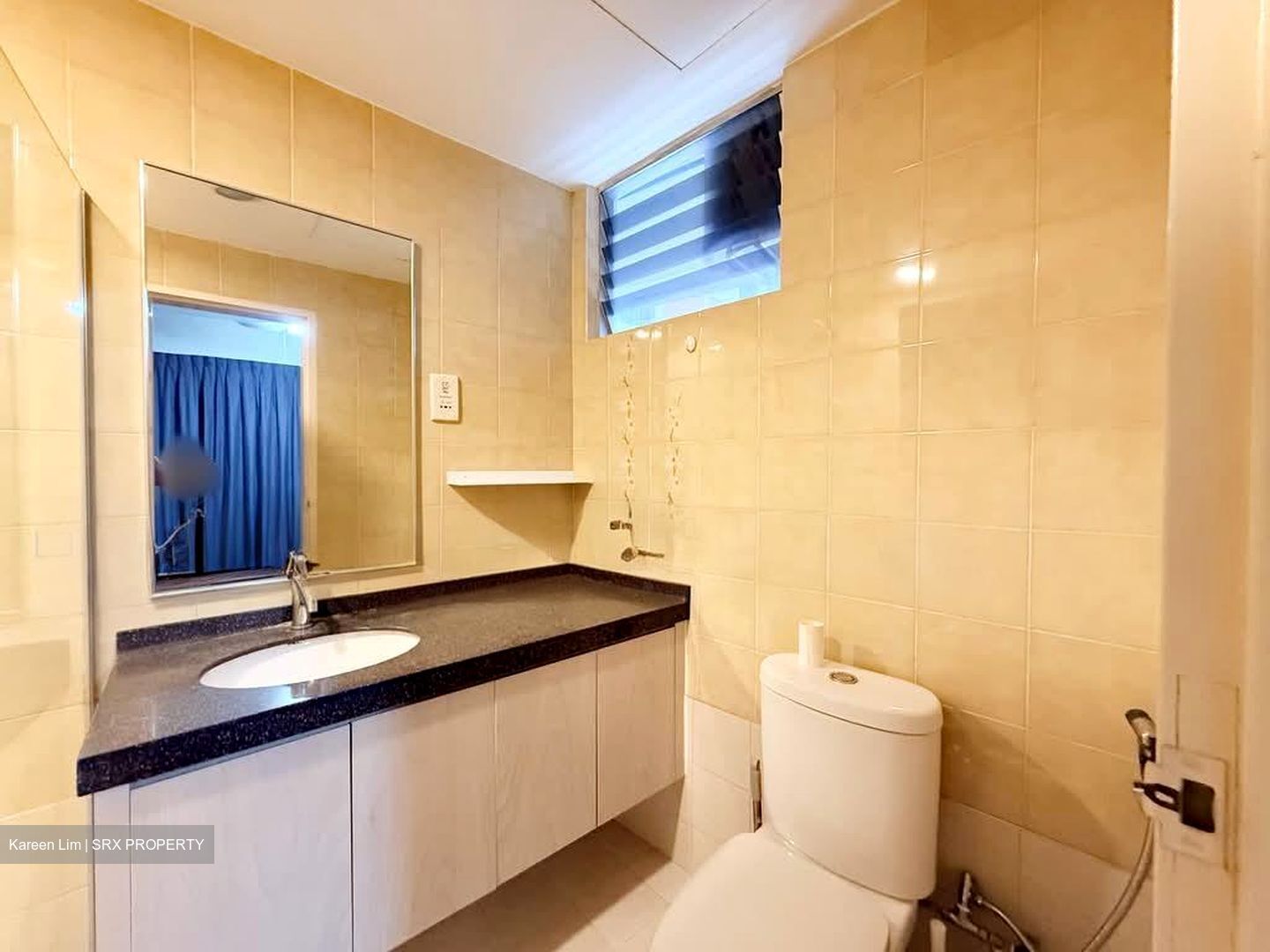 Clementi Park (D21), Condominium #594084731